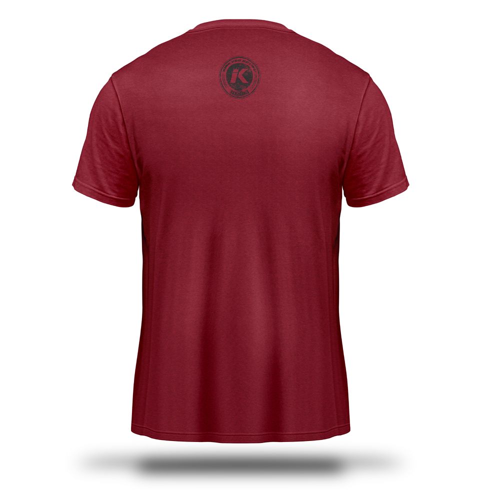 King Pro Boxing -t-shirt-LOGO WR-rood